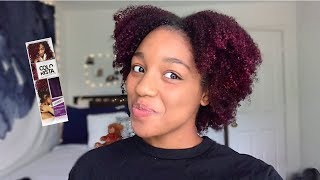 Dying My Natural Hair  LOreal Colorista  Hit or Miss [upl. by Hoopen326]