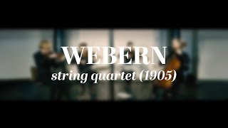 Danish String Quartet plays Webern string quartet 1905 [upl. by Anilehcim387]