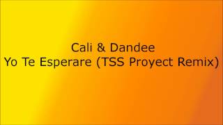 Cali amp Dandee  Yo Te Esperare TSS Proyect Remix [upl. by Nitsrik]