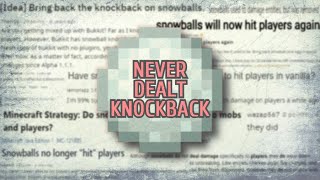 Snowball quotKnockbackquot  Minecraft Java Editions Biggest Misconception [upl. by Brigette566]