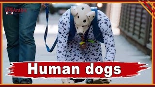 The phenomenon of human dogs in Europe [upl. by Thomsen]