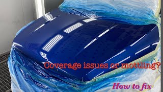 How to fix coverage issues and mottling with Axalta paint [upl. by Gold]