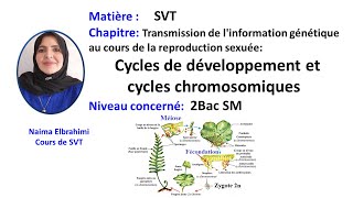 Cours SVT 2Bac Biof Transmission de linformation génétique  Cycle de développement chromosomique [upl. by Dorcia]