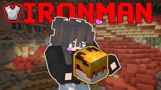 IRONMAN MY BIGGEST PURCHASE YET Hypixel Skyblock Ep116 [upl. by Harrell]