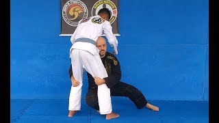 JIUJITSU MANUAL BÁSICO DO FAIXA BRANCA 1 LUTA EM PÉ [upl. by Adnim241]