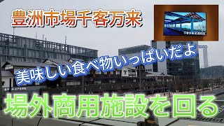 豊洲場外千客万来。202421オープン。新鮮な海鮮や東京のグルメ大集結！豊洲市場千客万来Part2 [upl. by Pansir564]