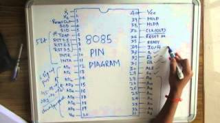 8085 Pin Diagram [upl. by Chatav941]