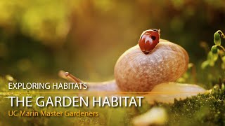 The Garden Habitat  Exploring Habitats [upl. by Durham]