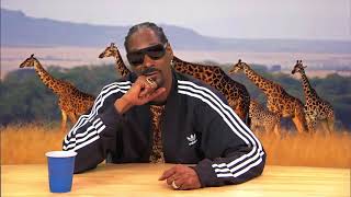 HILARIOUS Snoop Dogg narrates Animal Planet Documentary [upl. by Lenci]