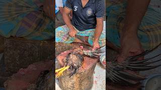 Amazing Special Desi Chicken Cutting Skills In Bangladesh Chicken Market 😱 shorts [upl. by Frannie]