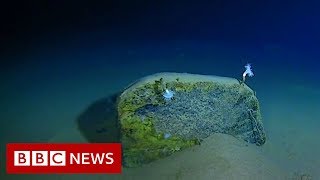 Mariana Trench Recordbreaking journey to the bottom of the ocean  BBC News [upl. by Aisenat]