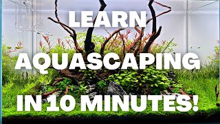 Complete Aquascaping Beginners Guide  Learn ALL The Basics [upl. by Jackqueline]