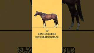 top 10 most expensive horse in the world 2024 top horse shorts [upl. by Ardnekan]