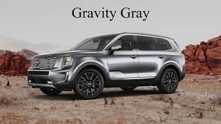 2020 Kia Telluride Color Options  Whats Your Favorite Best New 3 Row SUV [upl. by Minardi]