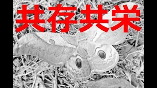 人類とウイルスの共生【動画総数２２５６】 [upl. by Kipton]