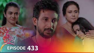 Jaanu  Episode 433  20241022  ITN [upl. by Sitnik553]