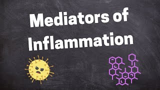 Chemical Mediators of Inflammation [upl. by Johathan]