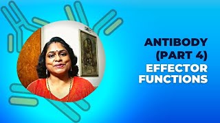 Antibodies Part 4 Effector Functions॥ Professor Archana [upl. by Redienhcs371]