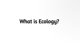 What is Ecology [upl. by Grubman]