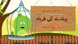 Toffee TV  Parinday Ki Faryaad  A Poem By Allama Iqbal  Kids Urdu Poem [upl. by Auqinihs]