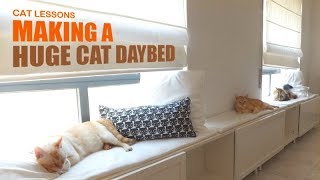 How to Make a Huge Cat Daybed [upl. by Tekcirk]