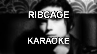 Andy Black  Ribcage karaokeinstrumental  Polinstrumentalista [upl. by Calvano]