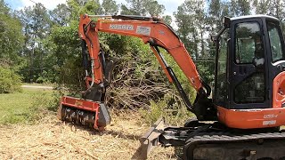 OWNER WANTED THESE MASSIVE AZALEA BUSHES MULCHED DOWN TO THE NUB [upl. by Leandre]