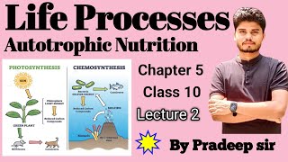 Class 10th Science  Autotrophic Nutrition  Lecture 2  Chapter 5  Life Process  NCERT [upl. by Adnomal]