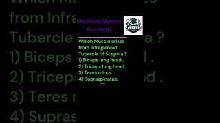 ANATOMY  UPPER EXTREMITIES Multiple Choice Que No6 bhms bams mbbs bscnursing first year exam [upl. by Baler]