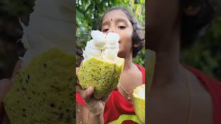 Cocoa fruit cocoatree cocoabar chocolate ridewithkingini malayalamshorts food [upl. by Nadean]