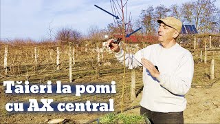 Tăieri la pomi cu ax central [upl. by Meara]