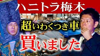 本当にヤバイよ【ハニトラ梅木】超いわくつき車を所有 トラブル多発 ※やっぱりハロウィンは梅木さん墓川柳など盛りだくさん『島田秀平のお怪談巡り』 [upl. by Ycats]