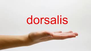 How to Pronounce dorsalis  American English [upl. by Lledal549]