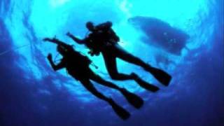 Beautiful Scuba Diving in Setúbal Portugal [upl. by Lihkin]