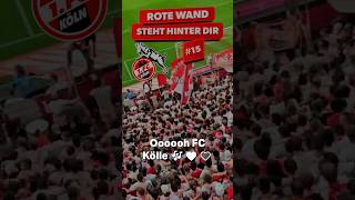 Die besten Fangesänge 1 FC Köln  Unvergessliche StadionHymnen im Ranking fußball [upl. by Ahsaf711]