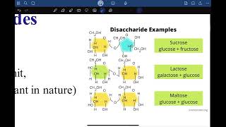 Biochemistry 2  Carbohydrates [upl. by Lerred]