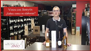 Vinos con Botrytis ¿Qué son y cómo se elaboran [upl. by Nnaj]