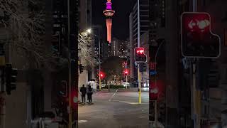 Skytower Auckland City New Zealand 🇳🇿 [upl. by Minetta]