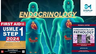 3Endocrine  Growth Hormone Physiology  First Aid USMLE Step 1  Urdu  Hindi [upl. by Adlih]