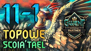 92 WINRATE  NAJLEPSZY OBECNIE DECK  Gwint [upl. by Daphna]