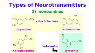 Neurotransmitters Type Structure and Function [upl. by Ijneb]