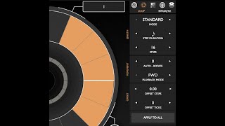 Patterning 3  Loop Settings [upl. by Araj]