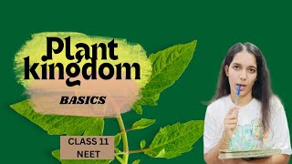 taxonomy  plant kingdom class 11 NEET [upl. by Elyag]