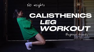 CALISTHENICS LEG WORKOUT  NO WEIGHTS beginner friendly [upl. by Akenahc]