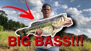 Alabama Bass Fishing  CoWzzz [upl. by Cary358]