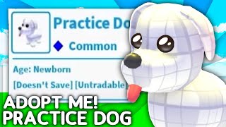 How To Get The SECRET Practice Dog Pet In Adopt Me Roblox [upl. by Larianna]