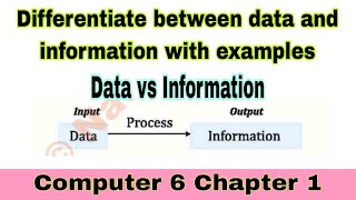 Differentiate between data and information  with example  computer class 6 chp 1  ilmi darasgah [upl. by Premer]