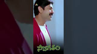 Anushka amp Jagapathi Babu Best Comedy  swagatam  shorts  youtubeshorts  sribalajivideo [upl. by Terbecki]