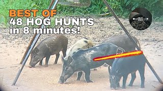 48 Wild Hog Hunts in 8 Minutes ULTIMATE BOWHUNTING COMPILATION [upl. by Etnomed]