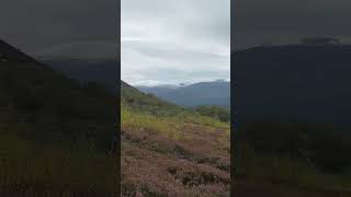 In the Majestic Cairngorm Mountains [upl. by Aehtla74]